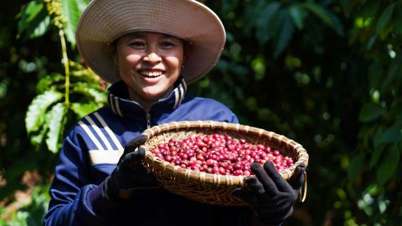 Nestlé tích cực góp phần thúc đẩy hoạt động chuyển đổi, áp dụng mô hình nông nghiệp tái sinh