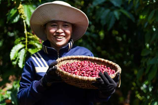 Nestlé tích cực góp phần thúc đẩy hoạt động chuyển đổi, áp dụng mô hình nông nghiệp tái sinh