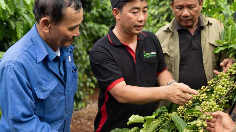 Nestlé thực hiện cam kết Net Zero với mục tiêu giảm phát thải trong toàn chuỗi giá trị