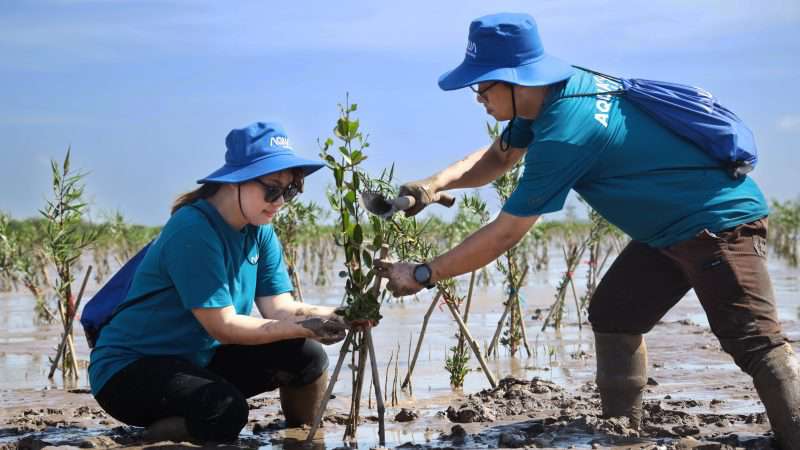 Gom mảng xanh, góp tương lai bền vững