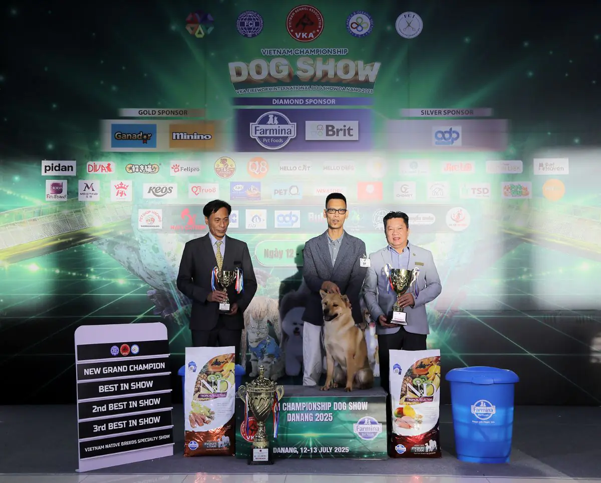 Dog Show – Đà Nẵng 2025 đậm hồn dân tộc